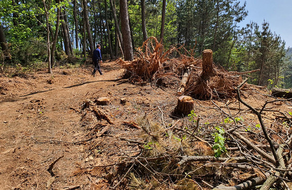 충남 서산시 형제산 보존녹지지대에 불법산림훼손 민원이 제기되고 있다.