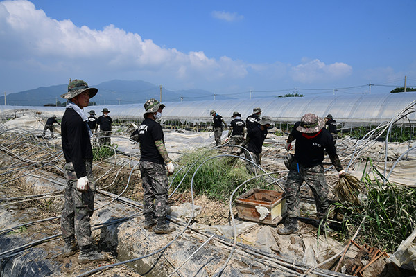 전북 남원시는 집중호우로 발생한 수해에 누적 1만 1000명이 넘는 자원봉사자가 참여, 수해복구 작업에 속도를 내고 있다. 사진은 군인들이 비닐하우스를 복구하는 모습. [남원시 제공]