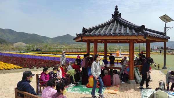 전남 진도군의 관광 명소인 송가인 공원이 꽃물결이 넘치는 거대 꽃밭으로 변신했다. [진도군 제공]
