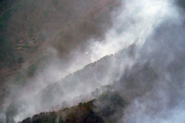 11일 산불이 발생한 경남 하동군 화개면 대성리 산에서 진화 작업이 이뤄지고 있다. [산림청 제공]