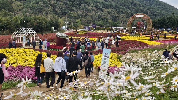 강원 인제가을꽃 축제가 ‘인제에서 꽃길만 걷자’를 테마로 오는 15일까지 개최된다.  [인제군 제공]