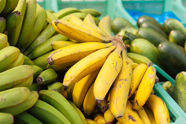 기후 위기로 인해 바나나 공급이 줄어들면서 가격이 오를 것이라는 전문가 단체 진단이 나왔다. [이미지투데이 제공]