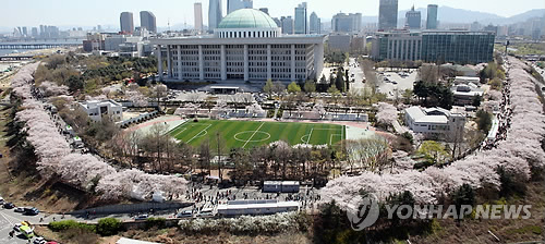  벚꽃축제가 열리고 있는 서울 여의도 윤중로에 2014년 4월 6일 벚꽃이 만개해 화려한 자태를 뽐내고 있다. [연합뉴스] 