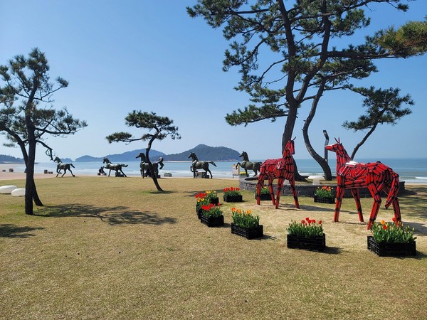 신안군은 최근 폭 200m, 길이 12km의 광활한 모래사장이 펼쳐진 대광해변에 홍매화를 상징하는 붉은색의 말 조각작품 2점을 설치했다. [신안군 제공]