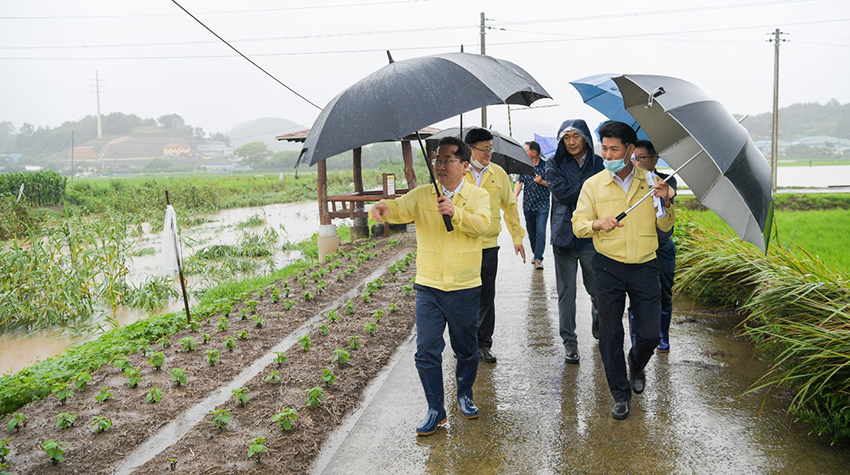 광주·전남 지역에 많은 비가 내린 13일 오전, 이틀간 180mm가량의 폭우가 쏟아진 순천시 도사동 일대 침수된 논을 허석 순천시장(앞쪽)이 현장 점검하고 있다. [순천시 제공]