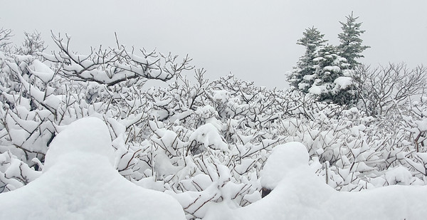 30일 강원 설악산국립공원 중청∼대청 일원에 밤새 내린 눈이 쌓여 있다. [설악산국립공원공단 제공]