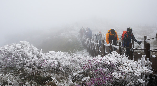 2일 오전 전남 구례군 토지면 지리산 노고단에서 등산객들이 눈이 쌓인 탐방로를 걷고 있다. [구례군 제공]