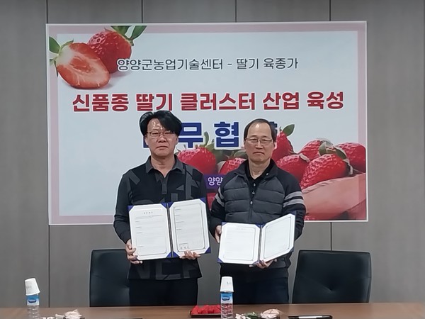 양양군은 최근 딸기 육종가와 클러스터 산업 육성을 위한 업무협약을 체결했다. [양양군 제공]