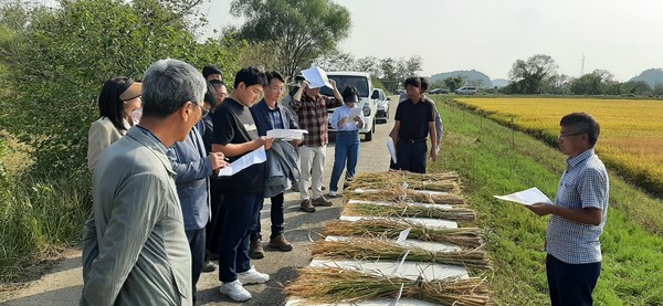 충남 당진시농업기술센터는 누룽지향 당진특화쌀을 개발하고 있다. [당진시농업기술센터 제공]